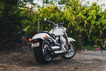 Photo of a White Motorcycle Parked Beside Plants