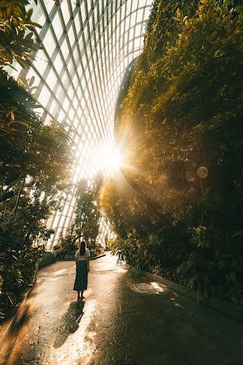 Photo of a Woman Standing on Road Beside Trees Inside Building