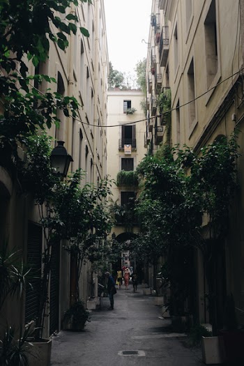Photo of Alley