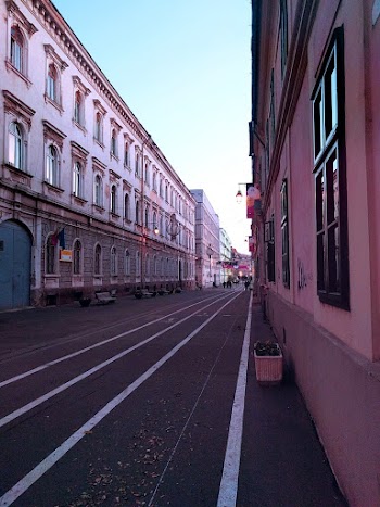 Photo Of Alley During Daytime