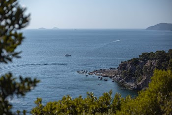 Photo Of An Ocean 