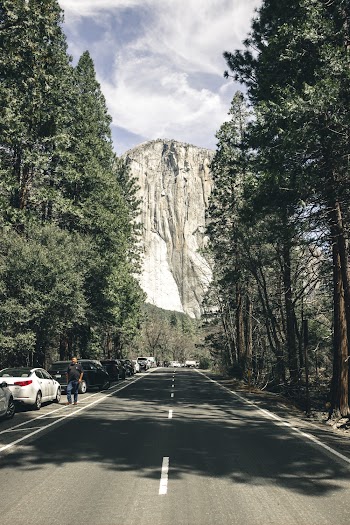 Photo of Asphalt Road Pathway between Tall  Trees with Cars Parked Beside  Near High Mountain 
