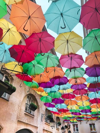 Photo of Assorted-Color Umbrellas Hanging Near Building