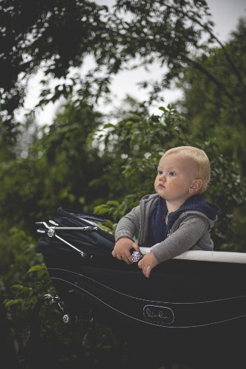 Photo of Baby on Stroller