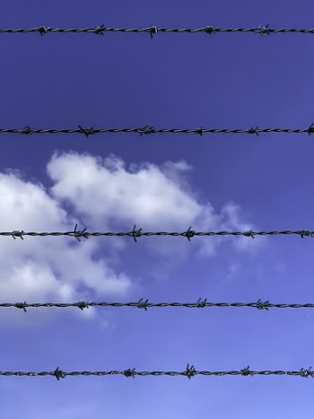 Photo of Barbed Wires