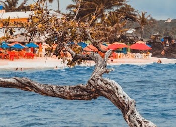 Photo of Beach