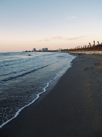 Photo of Beach