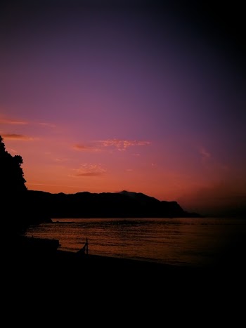 Photo of Beach During Dawn