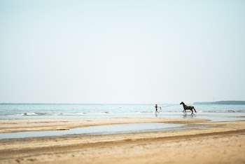 Photo of Beach During Daytime