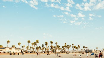 Photo Of Beach During Daytime