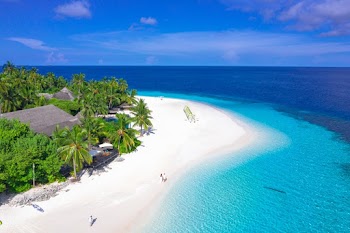 Photo Of Beach During Daytime