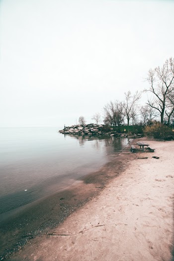 Photo of Beach Near Lake