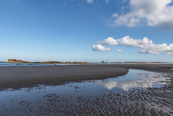Photo of Beach Under Blue Sky