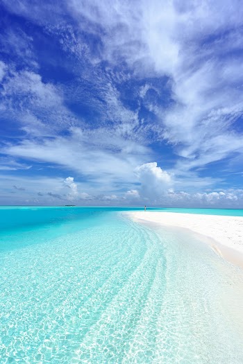 Photo of Beach Under Blue Sky Scenery