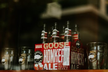 Photo of Beer Bottles
