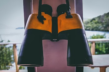 Photo of Black and Yellow Binoculars