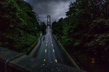 Photo of Black Concrete Road Between Trees