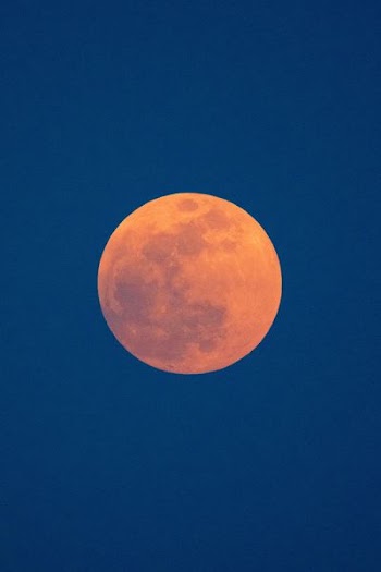 photo of bloody red moon