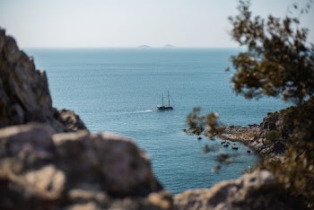 Photo of Boat on Sea