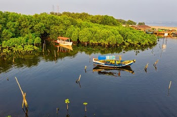Photo Of Boats During Daytime