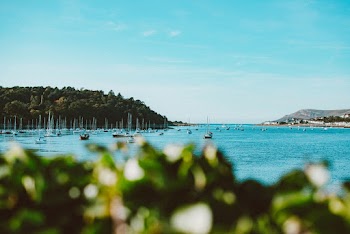 Photo of Boats Floating on Sea