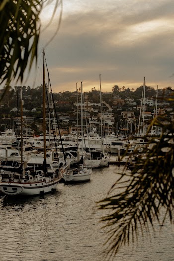 Photo of Boats on Harbor