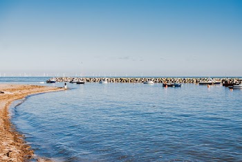 Photo of Boats on Seashore