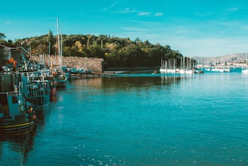 Photo of Boats on Seaside