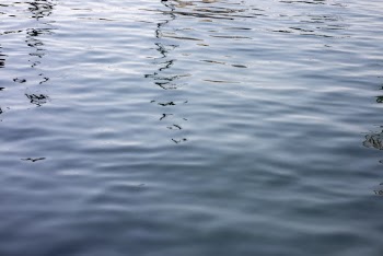 Photo of Body of Water