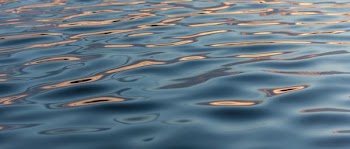 photo of body of water