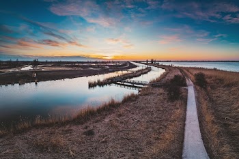 Photo of Body of Water