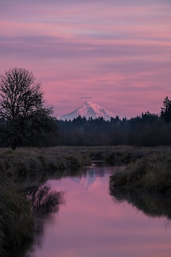 Photo of Body of Water in Between Grass Field during Golden Hour