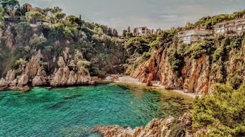Photo of Body of Water Surrounded by Cliff