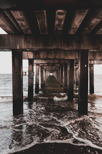 Photo of Body of Water Under Pier