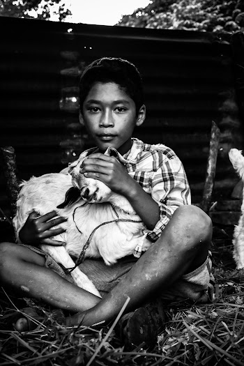 Photo Of Boy Holding Goat