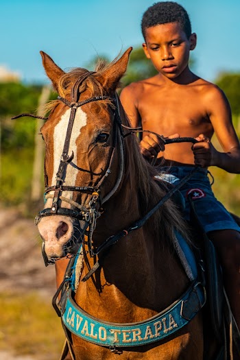 Photo of Boy Riding Horse