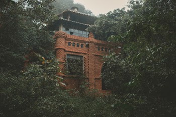 Photo Of Brick Building Surrounded By Trees