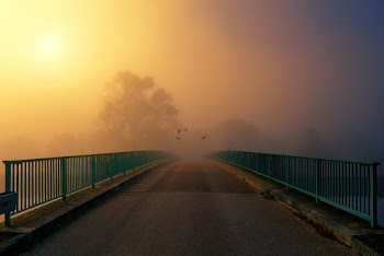 Photo of Bridge During Golden Hour