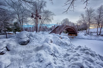 Photo of Bridge With White Snow