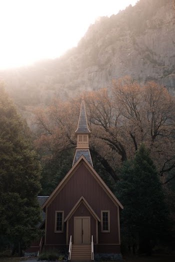 photo of brown and beige building near forest