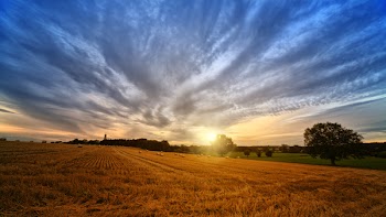 Photo of Brown Field during Sunrise