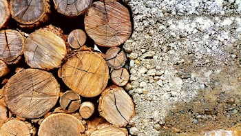 Photo of Brown Log and White Pebbles