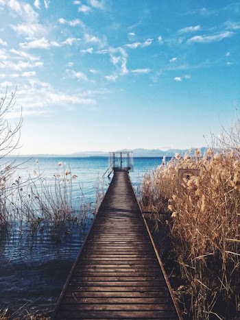 photo of brown wooden boardwalk nearby sea