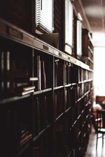 photo of brown wooden bookcase in room