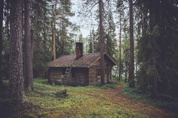 photo of brown wooden cabin in forest during daytime