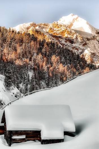 photo of brown wooden house covered with snow near mountain