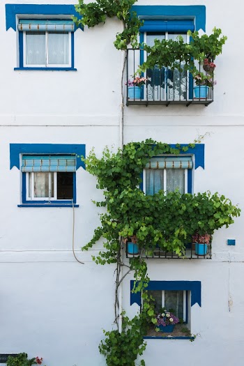 Photo Of Building Windows During daytime