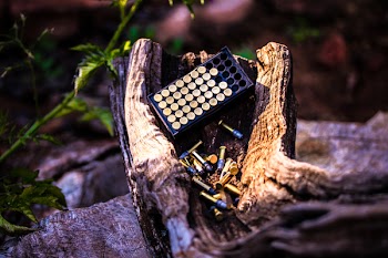 Photo of Bullets With Box on Top of Wood Trunk