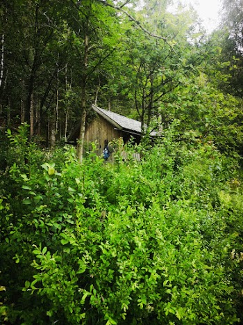 Photo Of Cabin In Middle Of Forest
