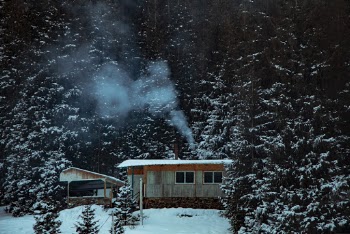 Photo of Cabin Surrounded by Pine Trees